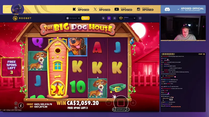 Xposed playing Slots & Casino - Live Casino Stream
