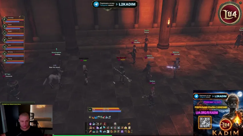 kadiml2 Lineage 2 stream image