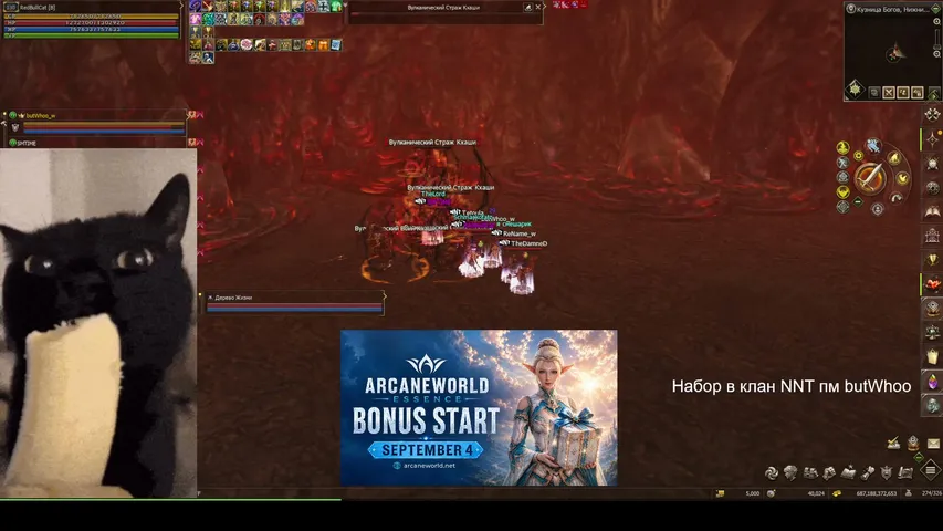 bananacat54 Lineage 2 stream image