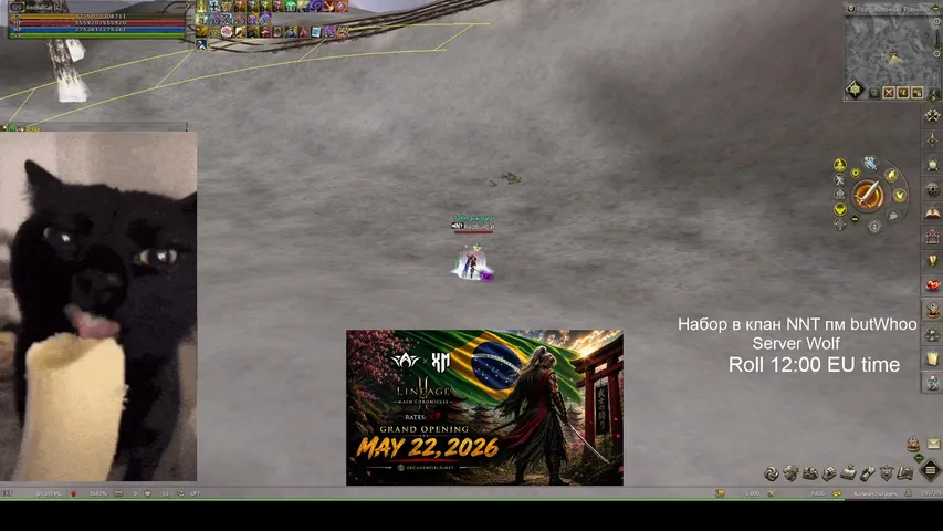 bananacat54 Lineage 2 stream image