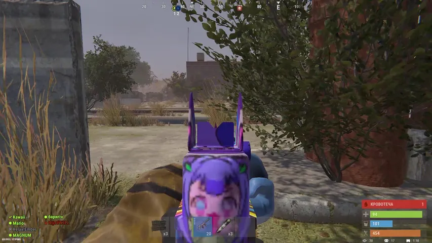 Раст для натуралів !