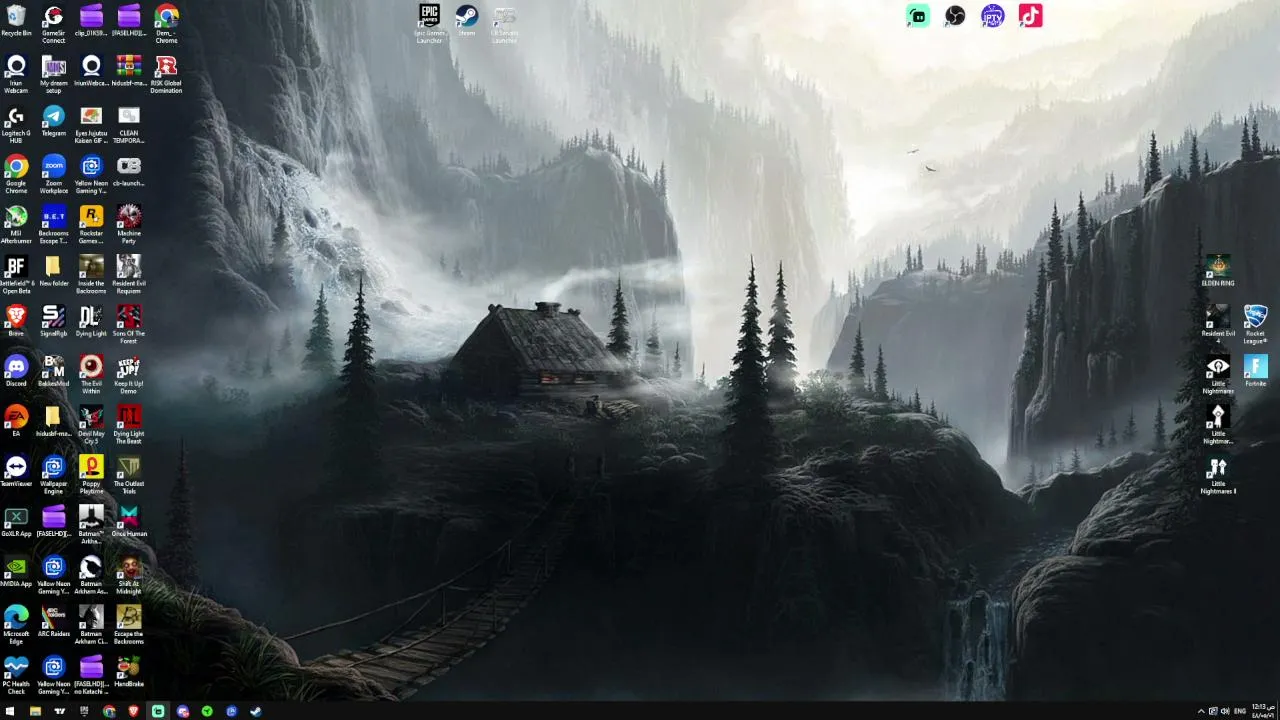 Dem_20 live