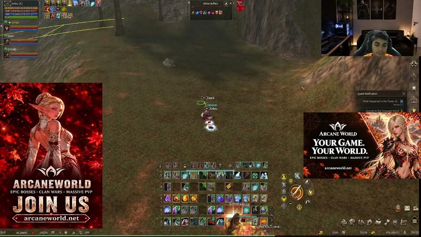 knockdown1133 Lineage 2 stream image