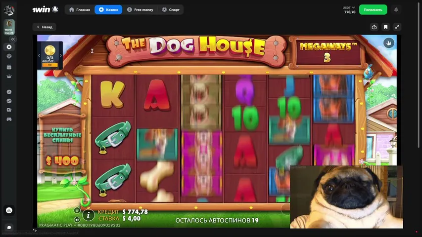 noirvanen playing Slots & Casino - Live Casino Stream