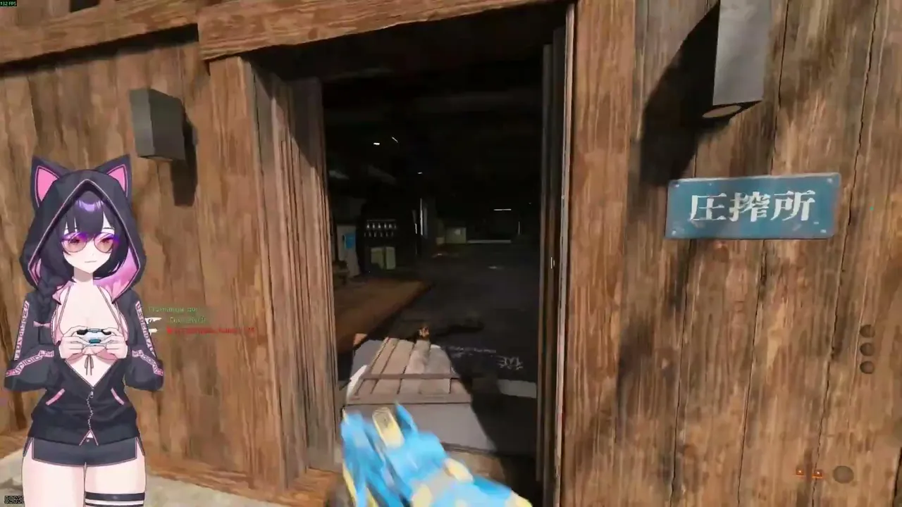 SlyValVODs