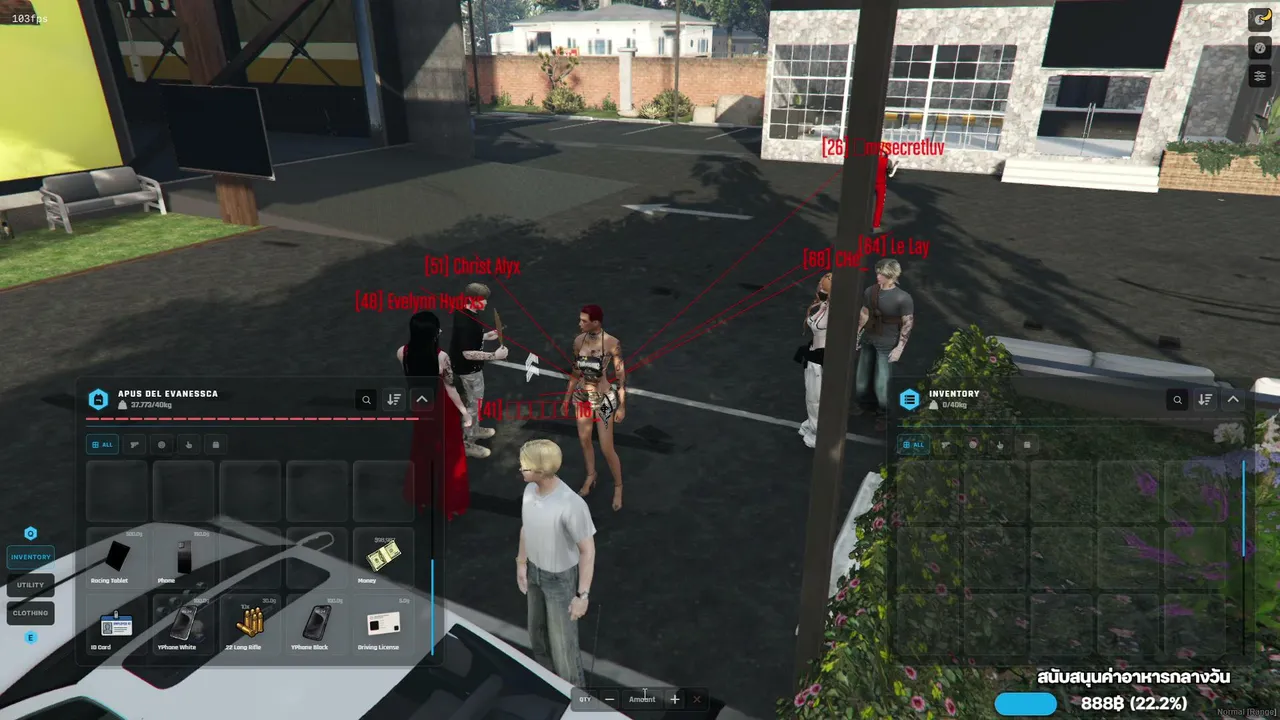 apus_dls live
