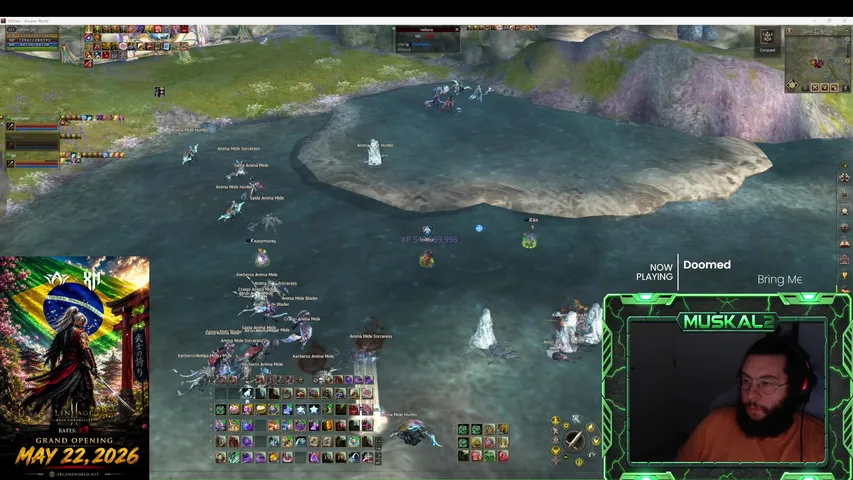 scaramuska Lineage 2 stream image