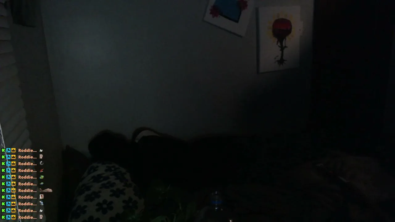 eliouttapocket live