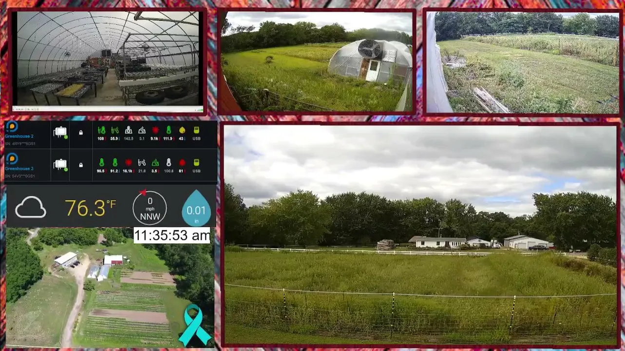 foxcouleefarms live