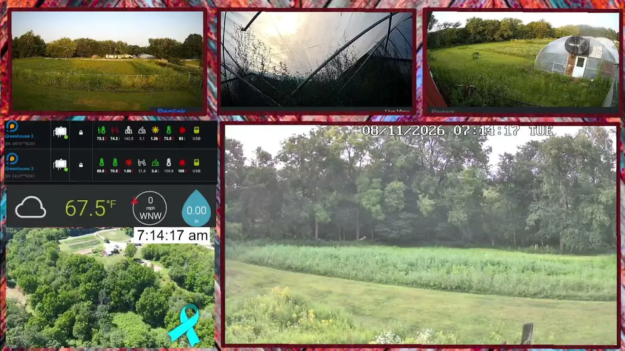 foxcouleefarms live