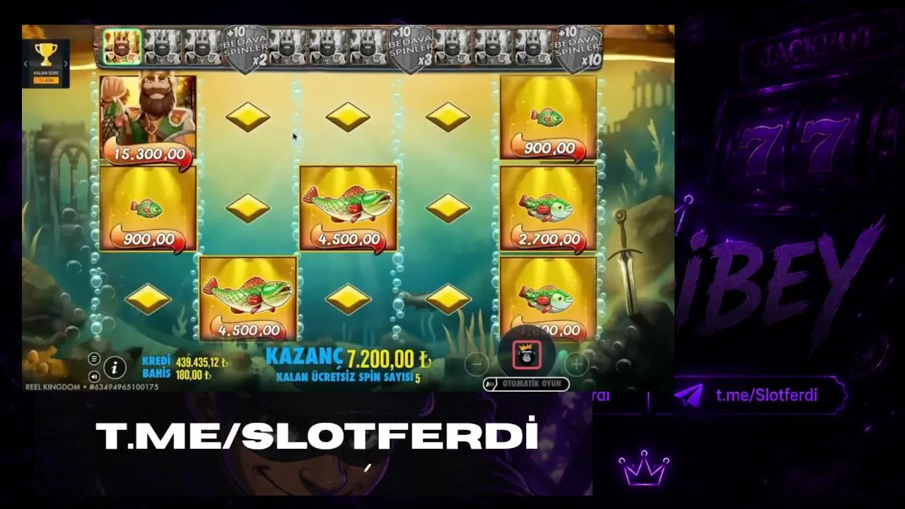 ferdibey0 live