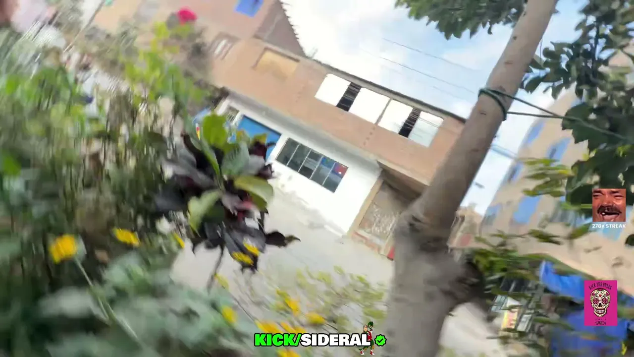 IRL CUMPLIENDO CON MI DEBER | VOTACIONES 2026