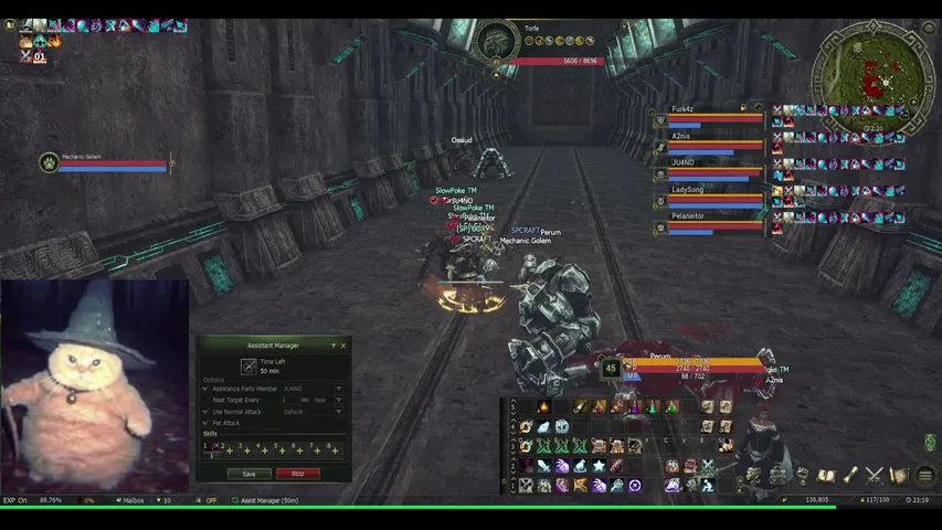 eiztv Lineage 2 stream image