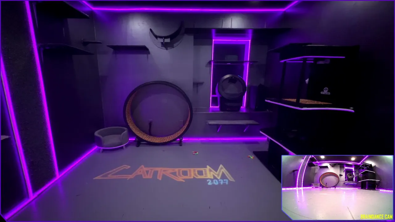 catroom2077 live