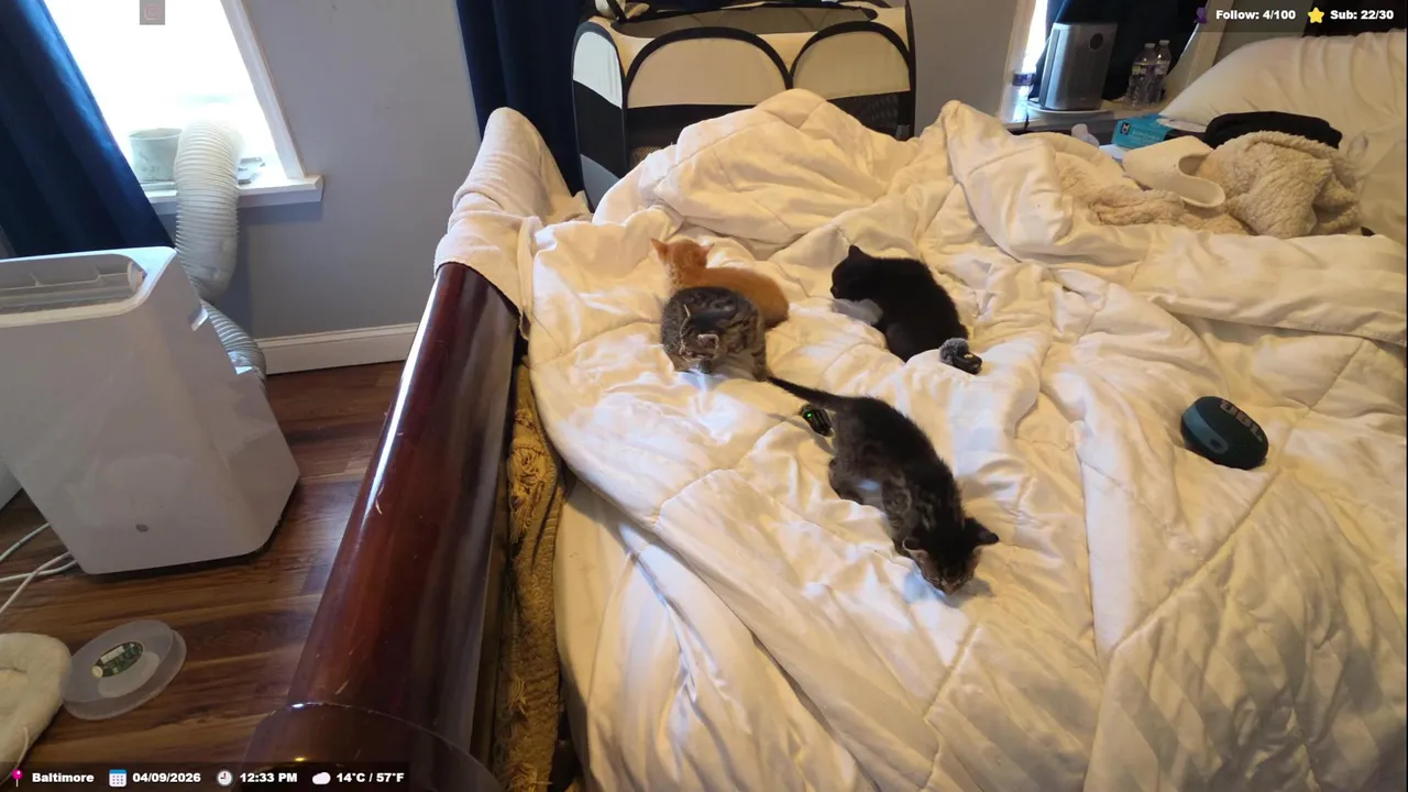 🇺🇸🇹🇷 Good Morning Baltimore  |📍Maryland, USA | !tip, !blerp, !mediareq, !location