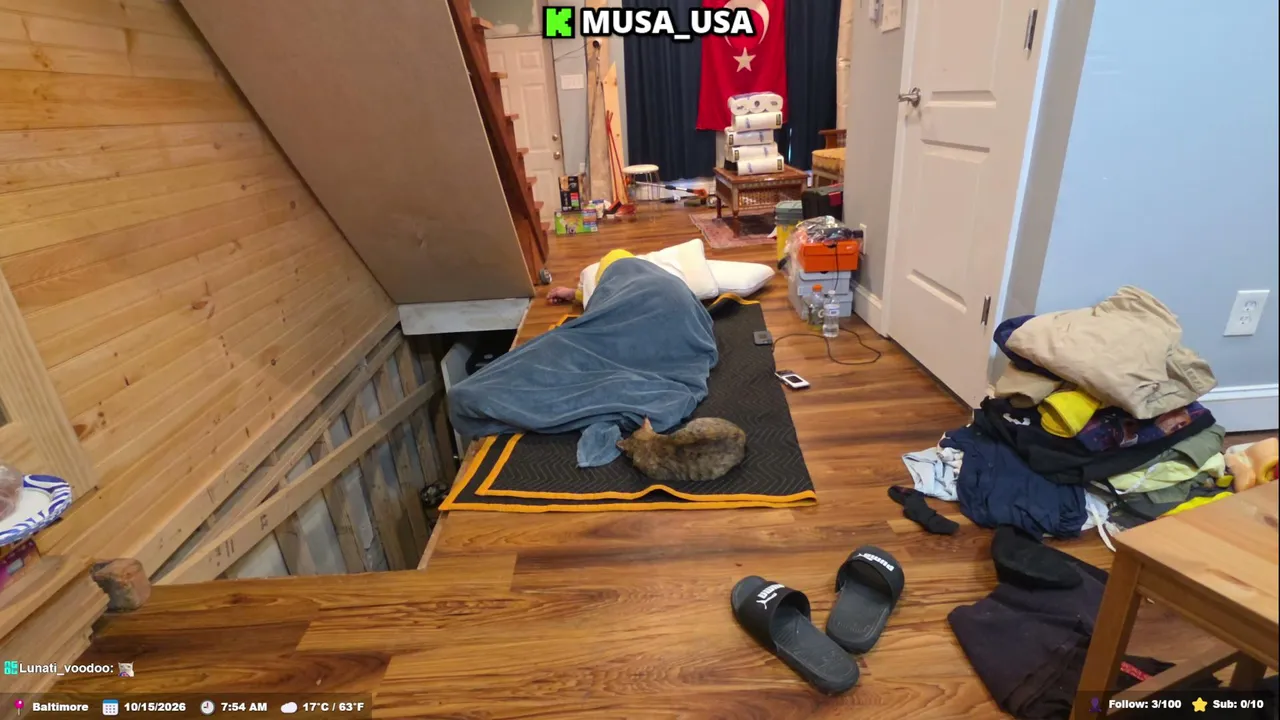 musa_usa