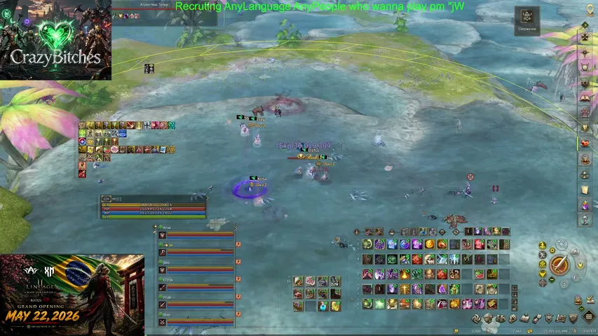 imbamani9 Lineage 2 stream image