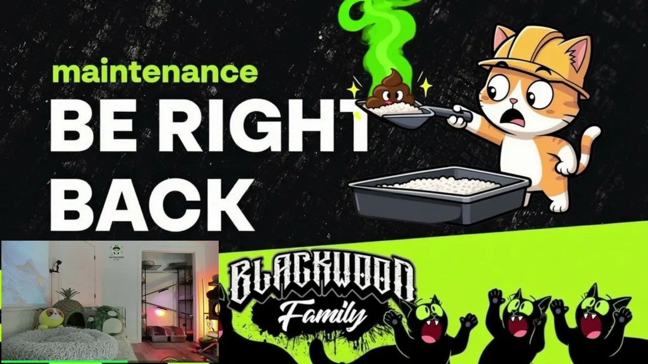 Blackwoodfamily live