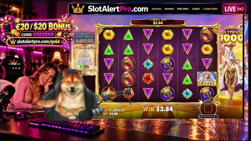 slotalertpro playing Slots & Casino - Live Casino Stream