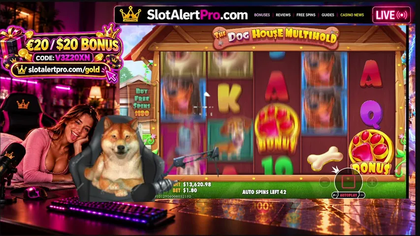 slotalertpro playing Slots & Casino - Live Casino Stream