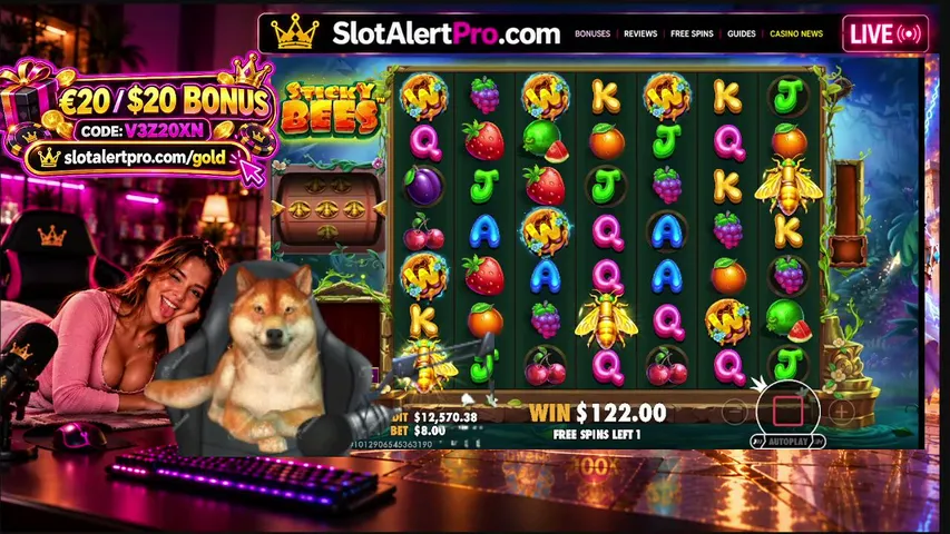 slotalertpro playing Slots & Casino - Live Casino Stream