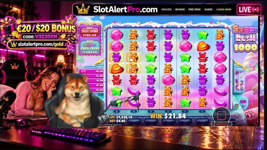 slotalertpro playing Slots & Casino - Live Casino Stream