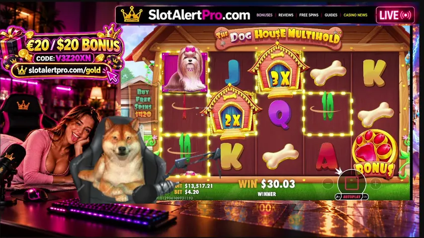 slotalertpro playing Slots & Casino - Live Casino Stream