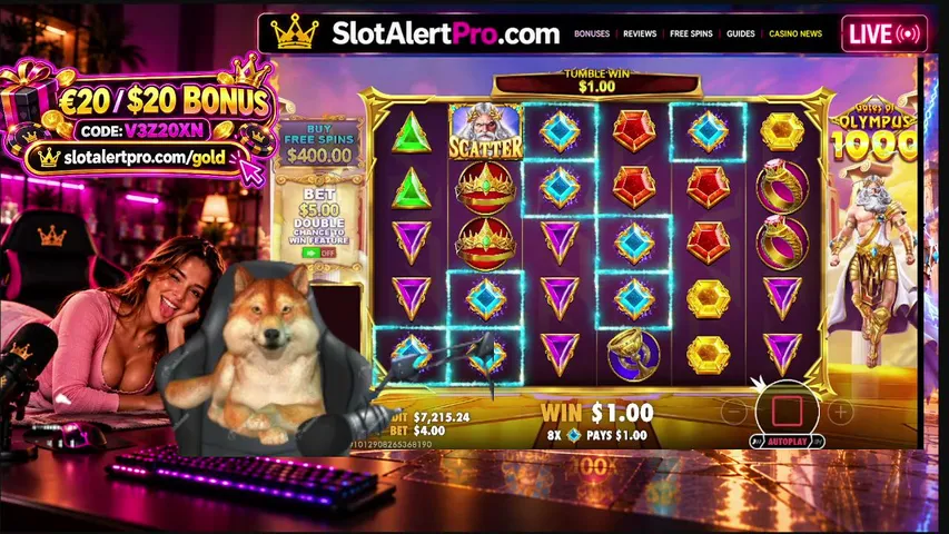 slotalertpro playing Slots & Casino - Live Casino Stream