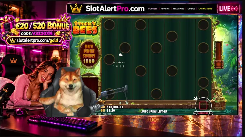 slotalertpro playing Slots & Casino - Live Casino Stream