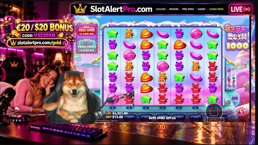 slotalertpro playing Slots & Casino - Live Casino Stream