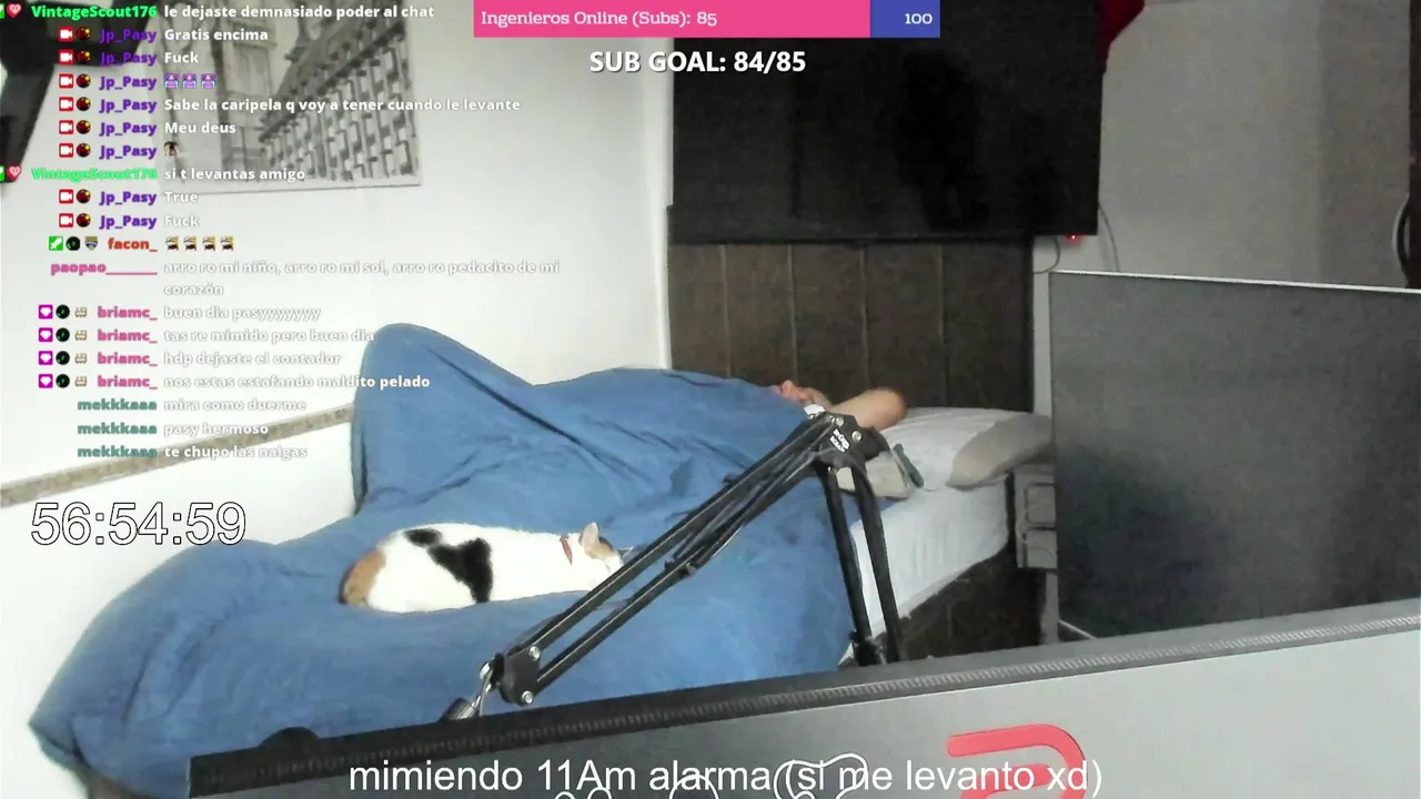 Jp_Pasy
