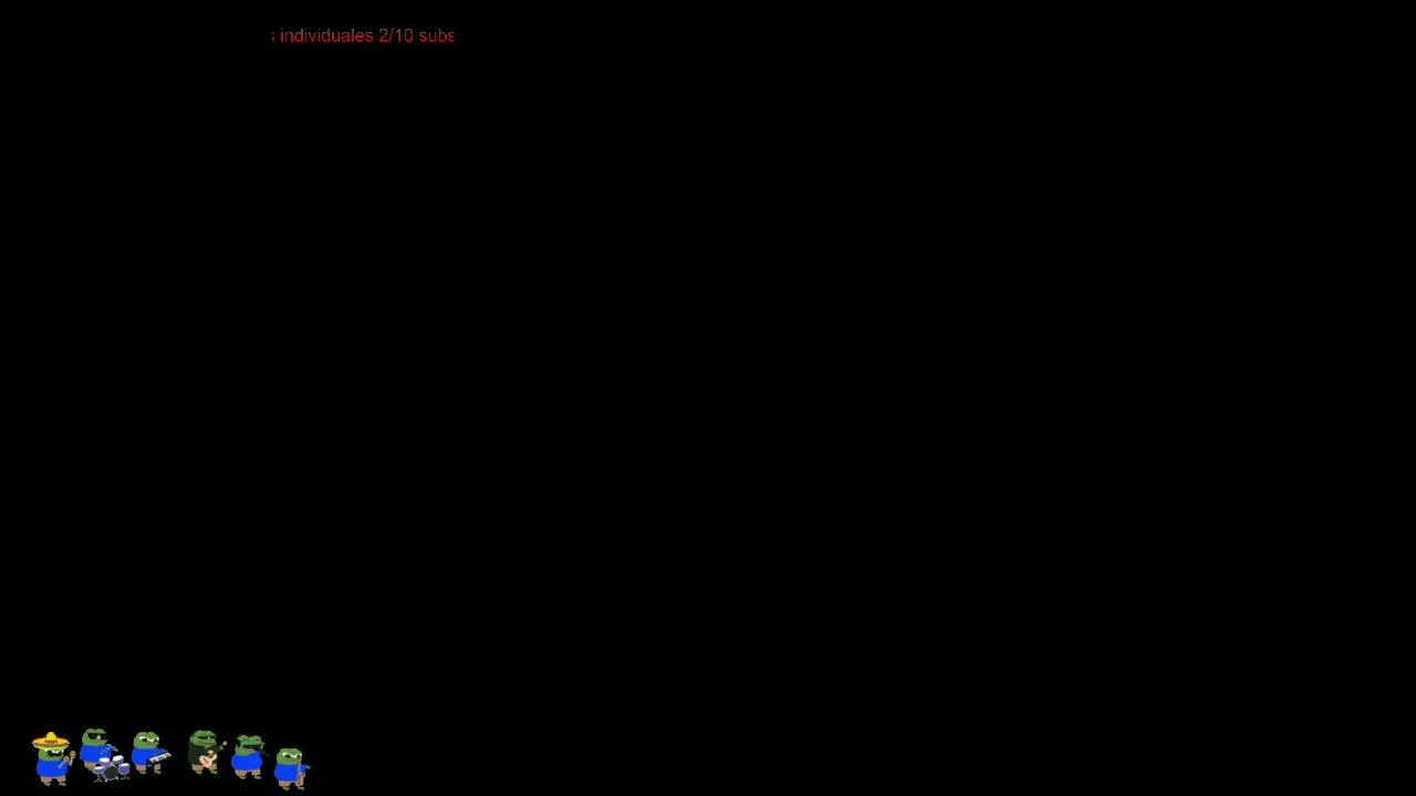 Zengibre live stream