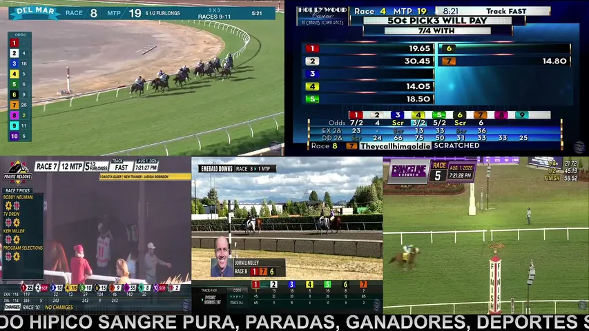 campeon000