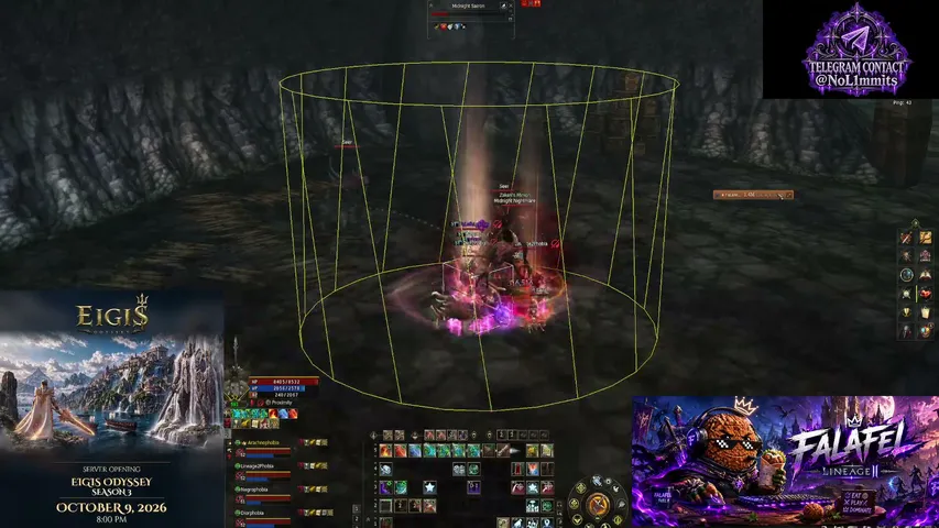 falafeldoa Lineage 2 stream image