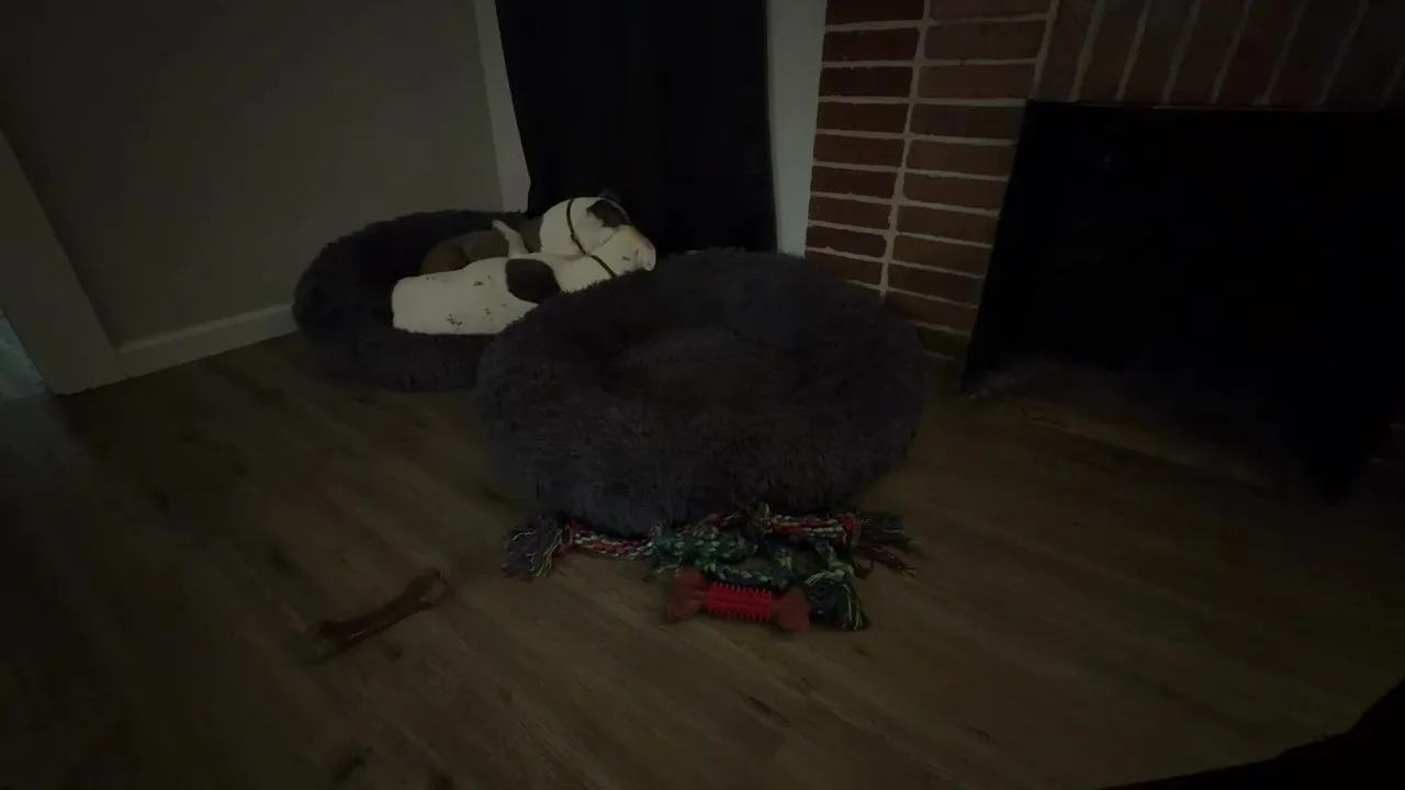 WreckedBubbles live