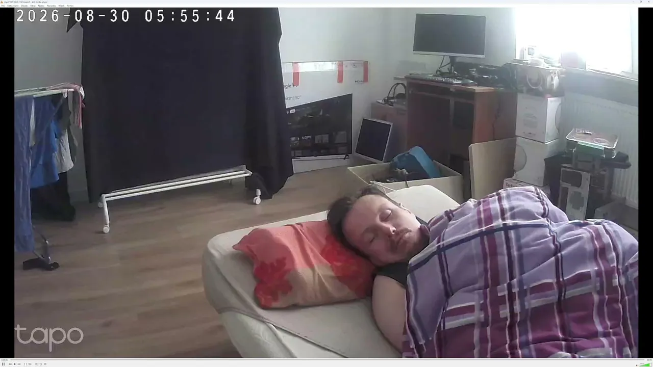 Zedzol