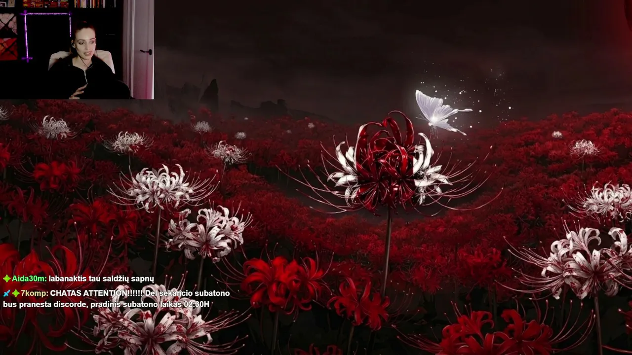 R3dspiderlily live