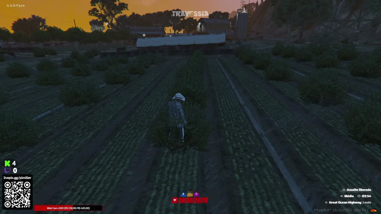 PLMiller live stream