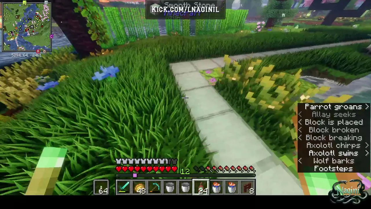Minecrafting~