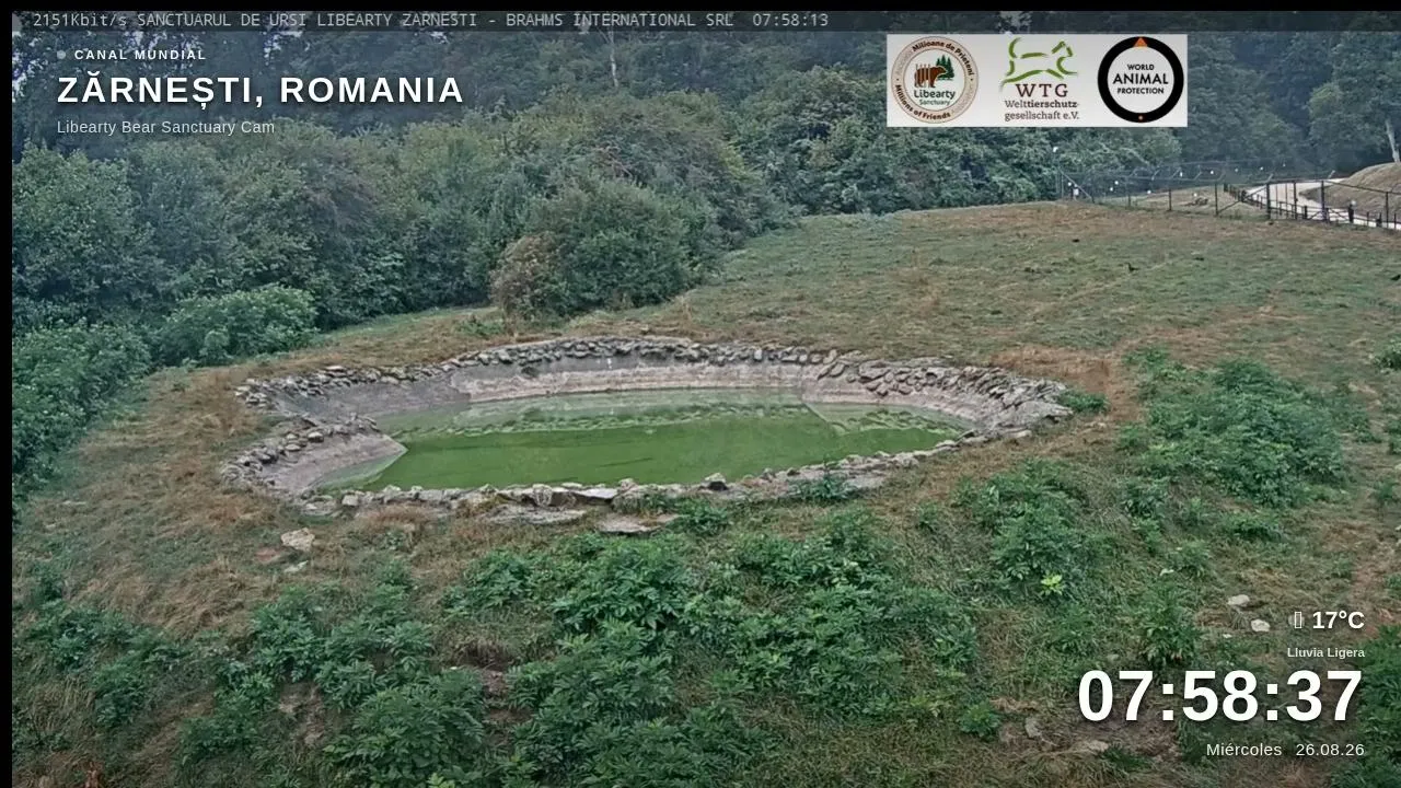 Slow_cams live