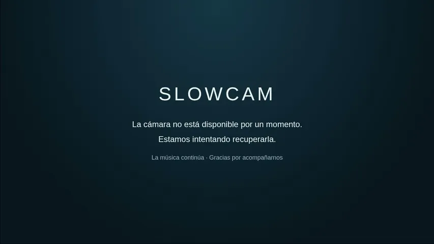 slow-cams