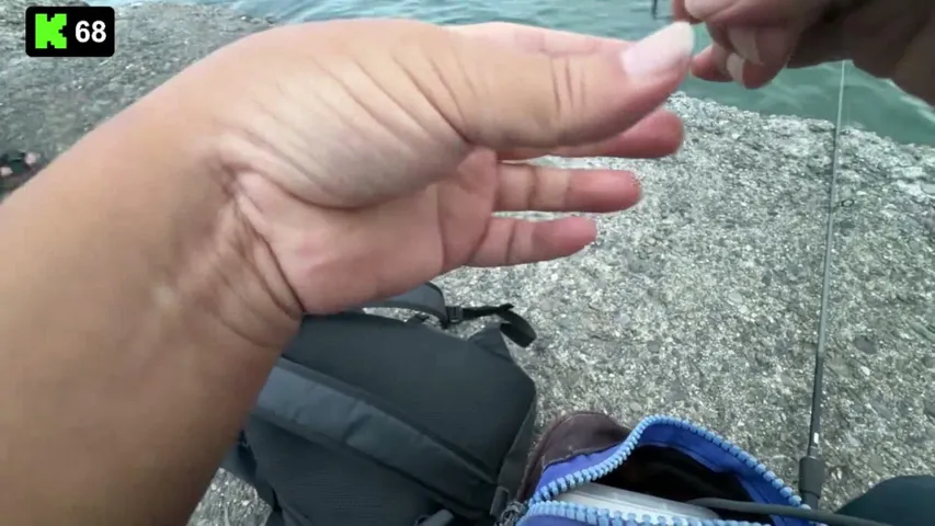 刺身にできる魚を釣りに行く