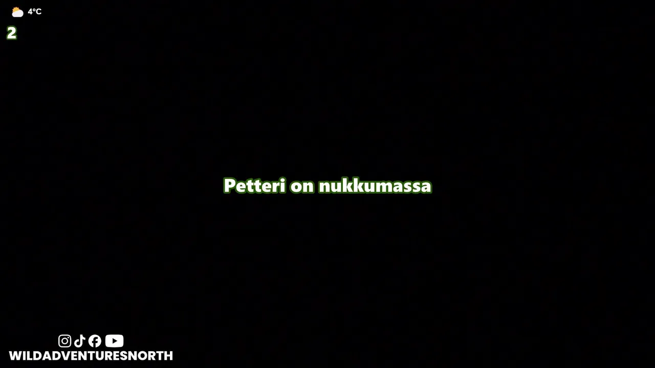 SELVIYTYMISLIVE live