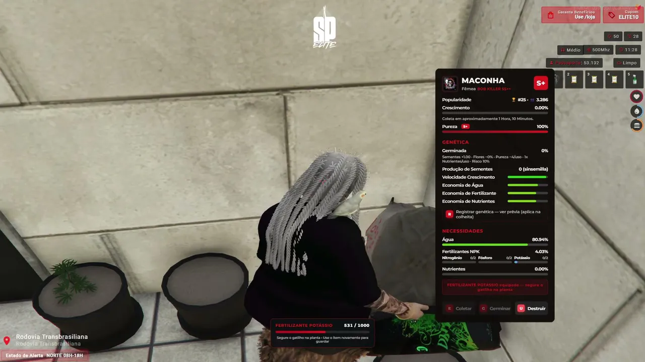 xbnf_7 live