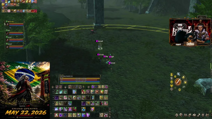 najinetv Lineage 2 stream image