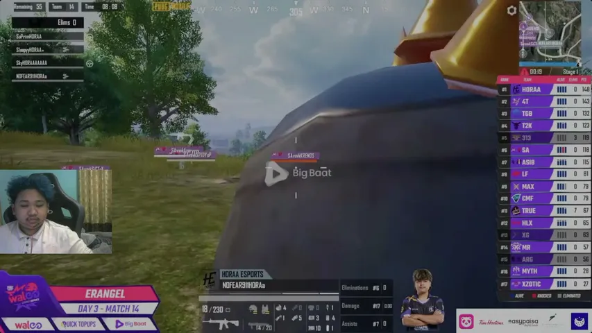 pekkaaaplays