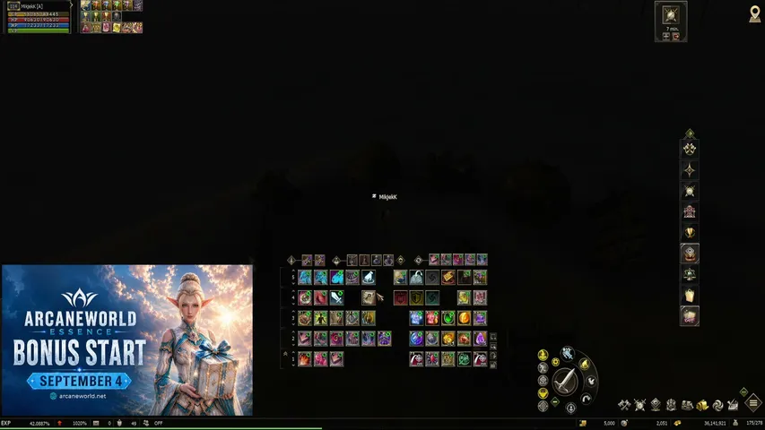 dokakkd Lineage 2 stream image