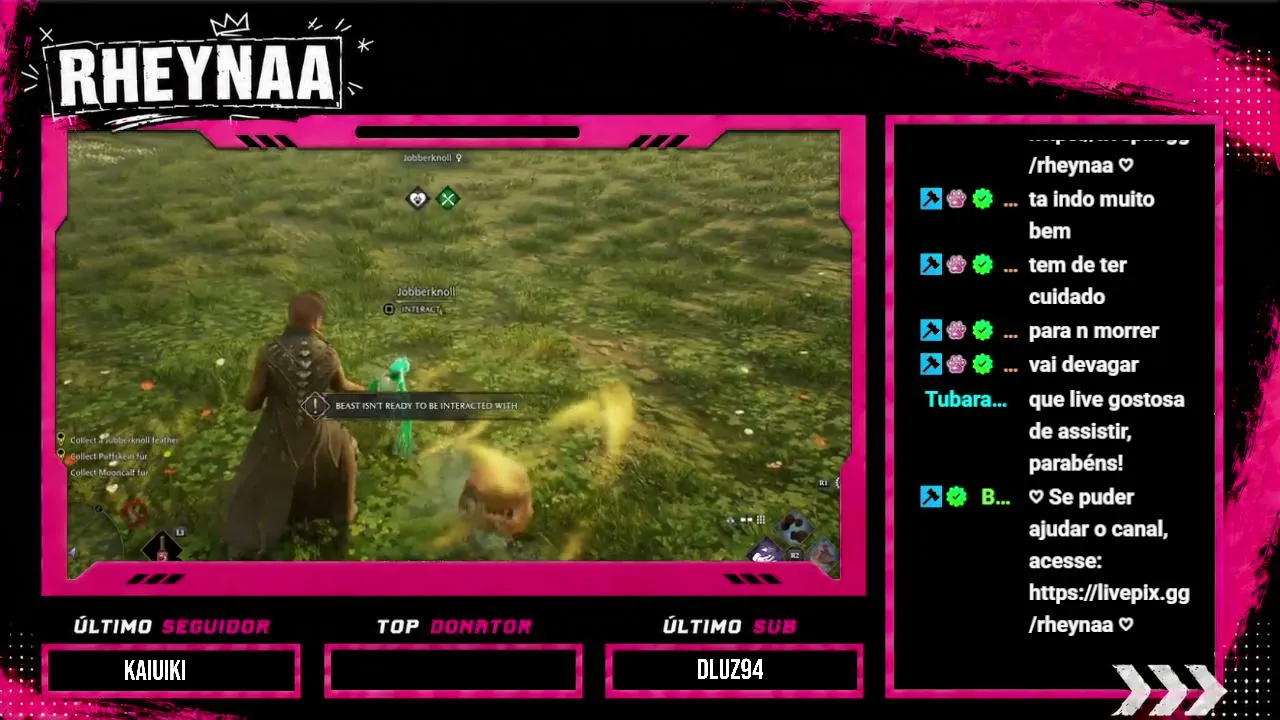 rheynaa live