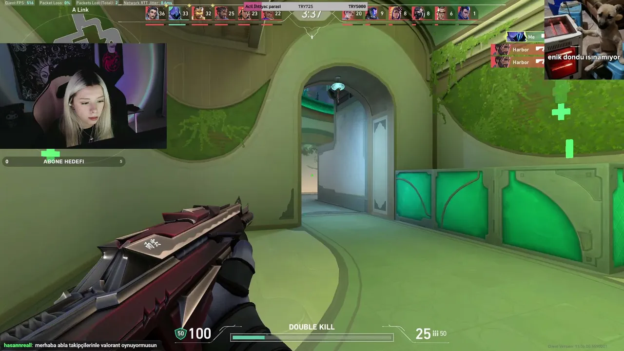 Euryel live stream