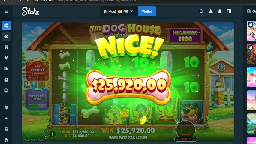 leoplayzlive playing Slots & Casino - Live Casino Stream
